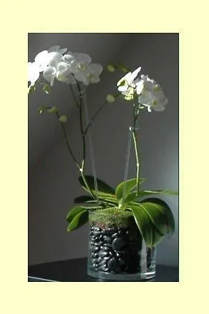 فندق Maison Du Boutique 4*